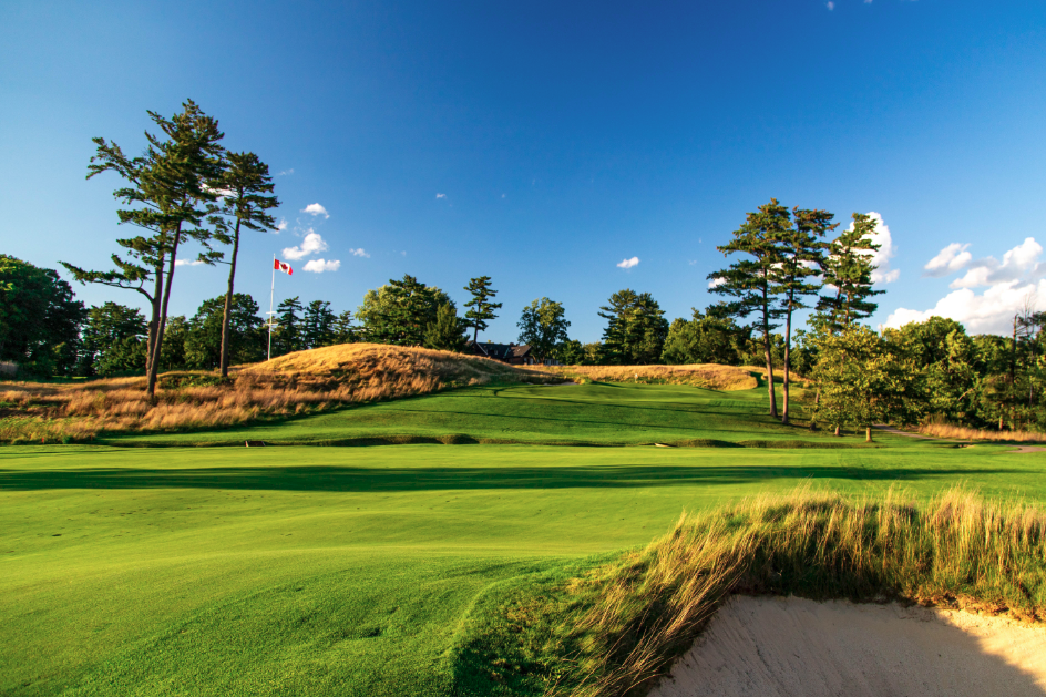 golf green with sand traps around it